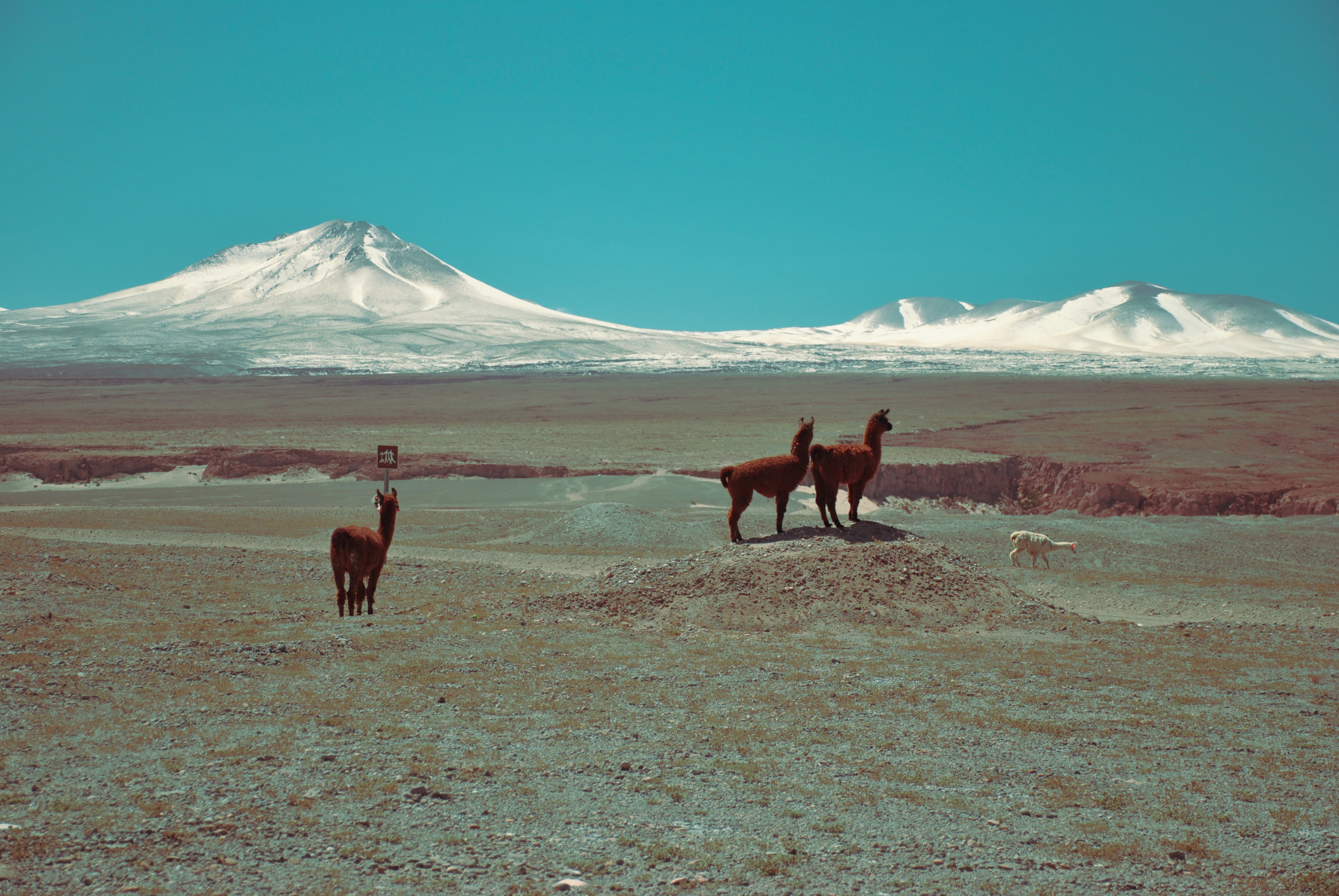 Imagen desierto de Atacama